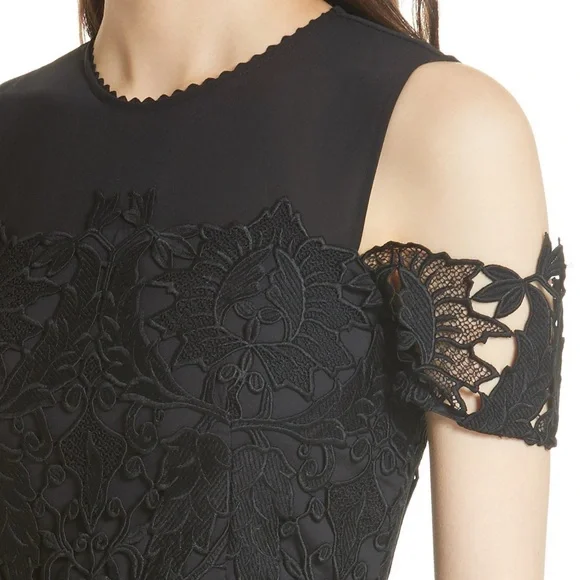 Ted Baker Structured Dress with Lace detailing - Picture 2 of 6